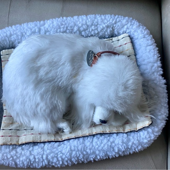 Perfect Petzz Poodle Bundle - Picture 6 of 8